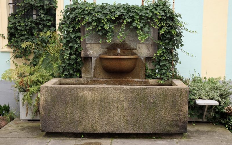 Old wall fountain with a stone bowl covered with ivy
